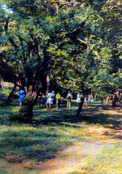 Парк культуры и отдыха - г. Шахты