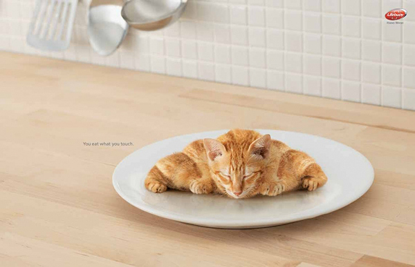 город Шахты
