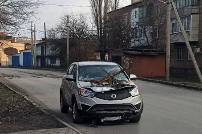 В г. Шахты рухнуло дерево на иномарку SsangYong — по области десятки случаев [Фото + видео]