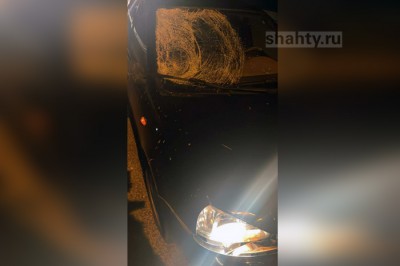 Сбили насмерть пешехода на трассе М-4 «Дон» в Ростовской области