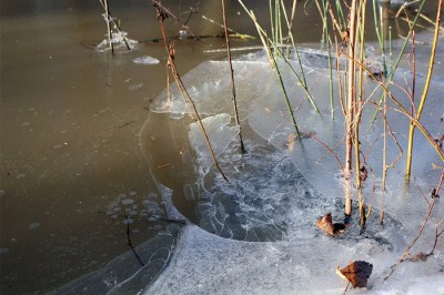 Мужчина провалился в воду, переходя по льду Дон