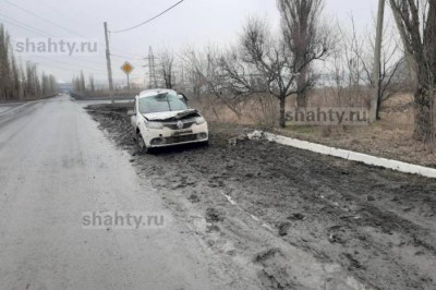 В Шахтах из-за собаки «Логан» протаранил столб: пострадал водитель