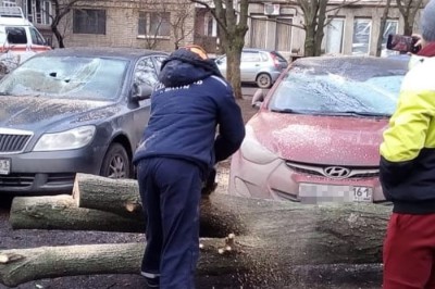 В Шахтах упало дерево на иномарки на ХБК