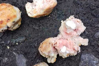 Котлеты с отравой рассыпали для бездомных собак