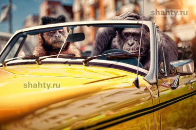 В Шахтах угонщик бросил машину, когда закончился бензин