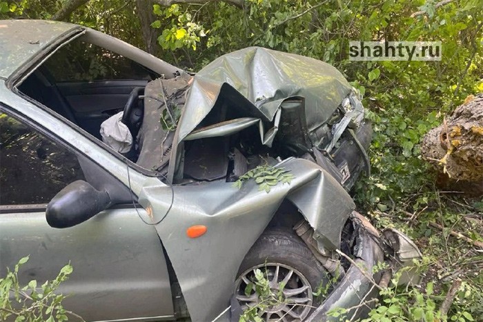 В ДТП под Шахтами пострадала 3-летняя девочка: Chevrolet врезался в дерево