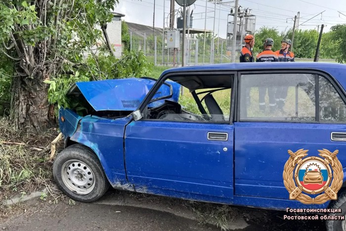 В городе Шахты подростки на ВАЗе врезались в дерево