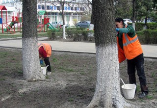Состоится грандиозный общегородской субботник в г. Шахты в субботу, 21 апреля