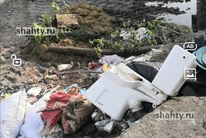 В Шахтах рассказали, когда уберут свалку в центре по улице Ионова