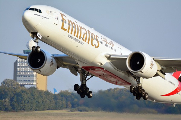 Самолеты Airbus и Boeing едва не столкнулись в небе Ростовской области