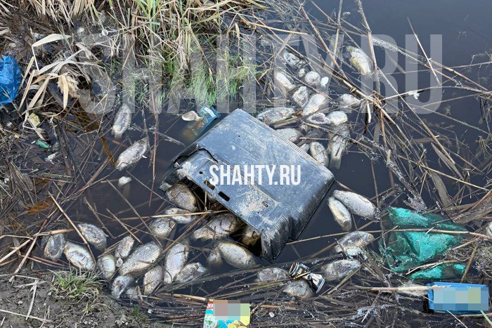 В Шахтах произошел замор рыбы на ставу на ХБК