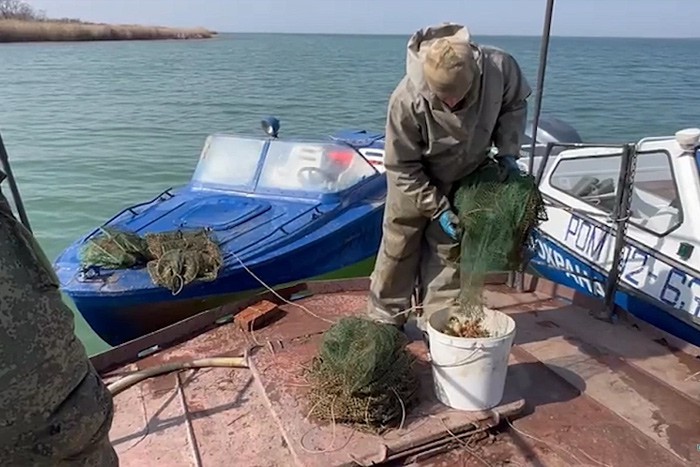 В Ростовской области в раколовках нашли 9 тысяч живых раков