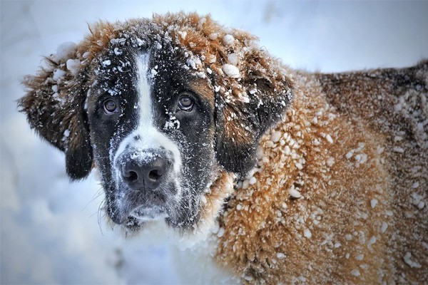 Снег и дождь обещают в г. Шахты в пятницу и на выходных