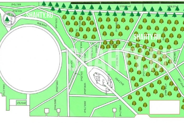 В парке г. Шахты высадят 74 канадские ели