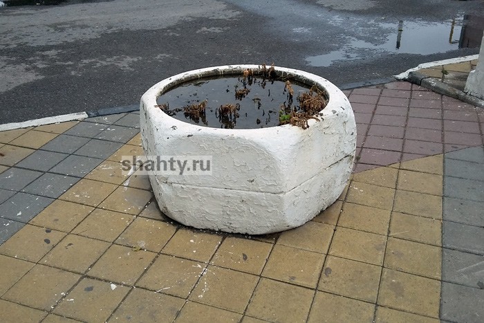 В Шахтах утопили цветы, залив их водой из водовозки городских служб