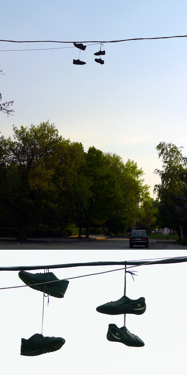 Потеряли на проспекте Красной Армии, г. Шахты