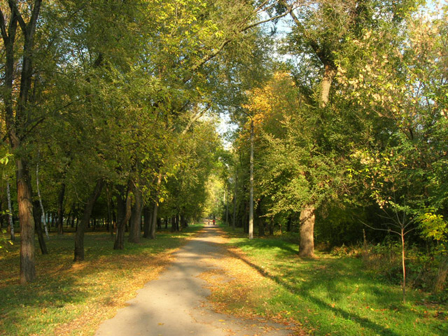 Городской парк, Шахты