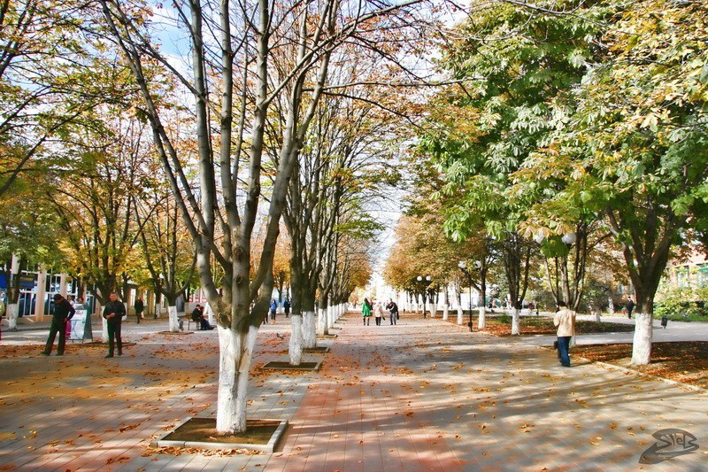 ул. Шевченко в городе Шахты - Шахты