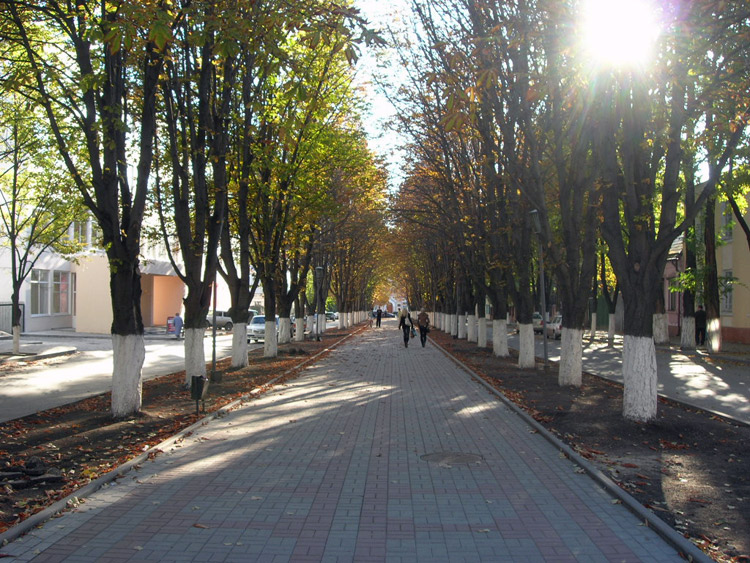 ул. Пушкина