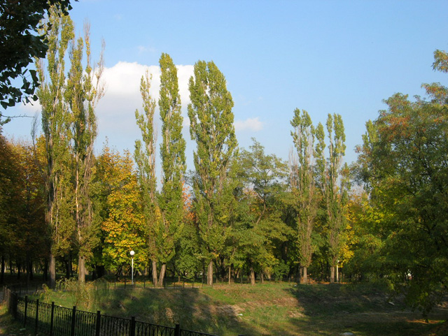 Шахтинский парк КиО