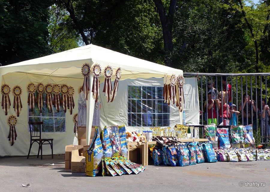 Награды ждут победителей на шахтинской выставке собак 2012