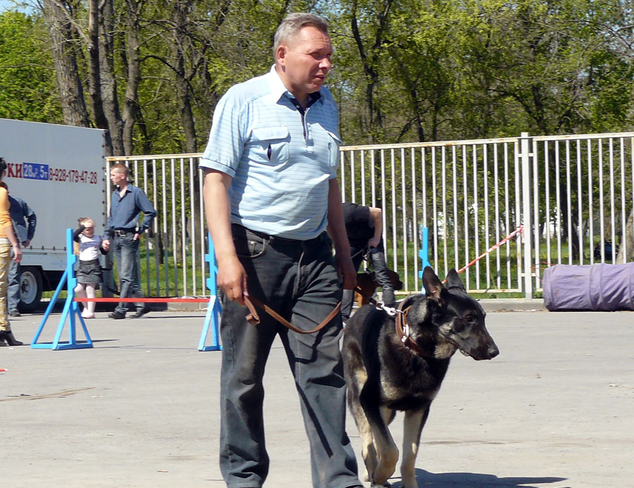 Выставка собак в г. Шахты