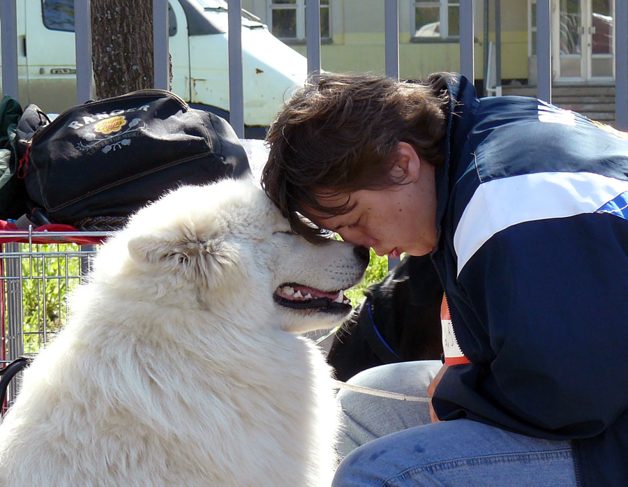 Выставка собак в г. Шахты