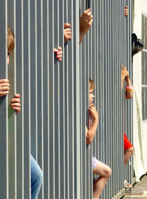 На шахтинской выставке собак 2012