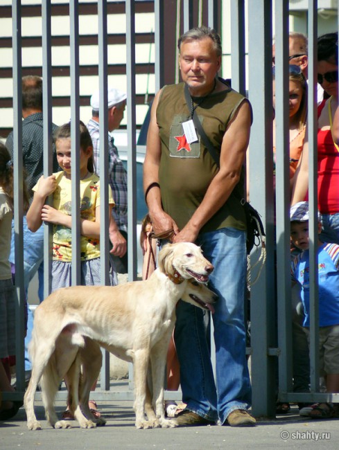 Выставка собак 2012 в Шахтах, Тазы
