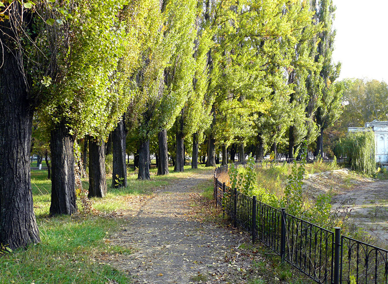 Шахтинский парк, "Пятак" - Шахты