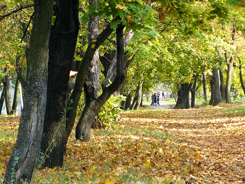 Городской парк, Шахты - Шахты