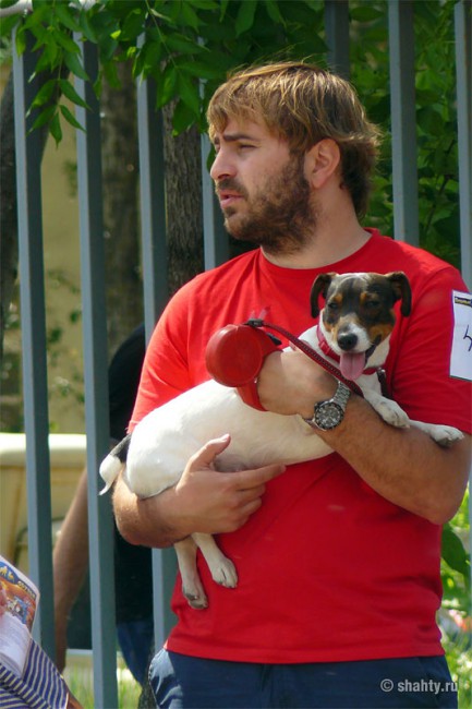 На шахтинской выставке собак