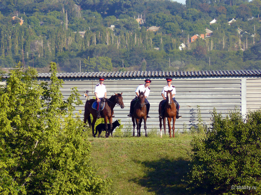 Конный патруль на стадионе "Патриот", г. Шахты
