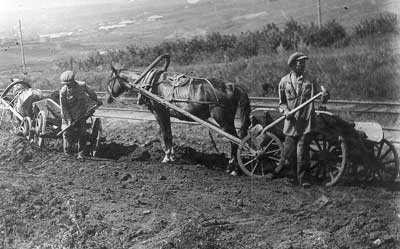 На железной дороге