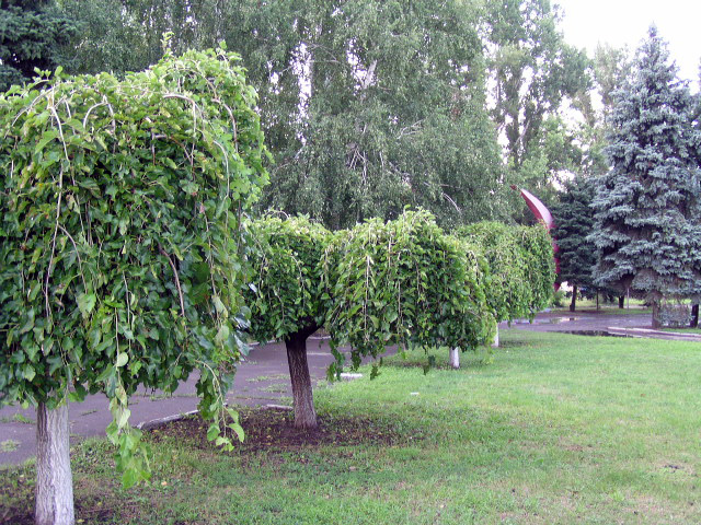 Сквер в пос. Каменоломни
