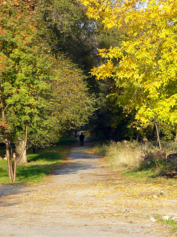 В шахтинском парке - Шахты